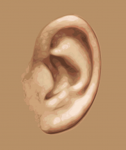 ear-159305_1280